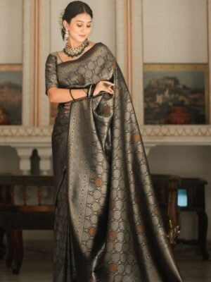 CANIZZARO Women Woven Design Banarasi Saree