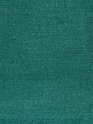 cladien-men-green-shirt-fabric-1.jpg