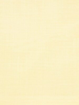 cladien-mens-burgundy-solid-clothing-fabric-31.jpg