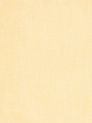 cladien-premium-quality-yellow-shirt-fabric-5.jpg