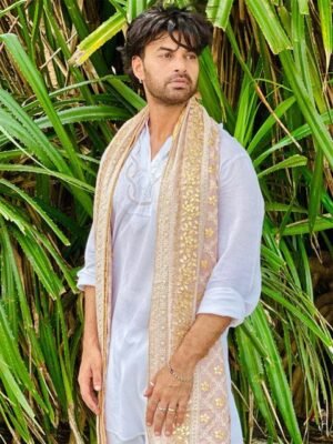 Dupatta Bazaar Men Ethnic Motifs Embroidered Lucknowi Work Gotta Patti Georgette Dupatta