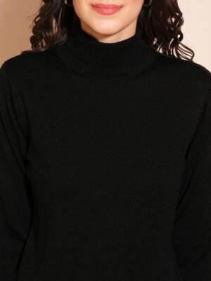 globus-women-solid-turtle-neck-pullover-sweater-1.jpg