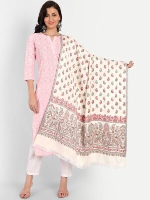 HK colours of fashion Women Ethnic Motifs Woven Design Shawl