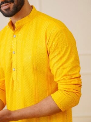 jompers-striped-sequins-chikankari-embroidered-strigth-kurtas-1.jpg