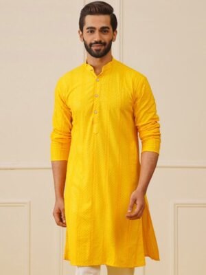 Jompers Striped Sequins Chikankari Embroidered Strigth Kurtas