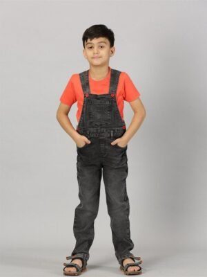 KiddoPanti Boys Shoulder Strap Denim Dungaree With T-shirt