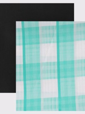 Maharaja Men Checked Shirt and Trousers Clothing Fabric
