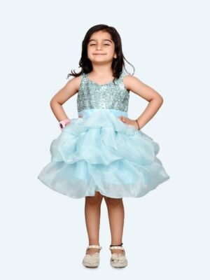 Modish Girls Net Fit & Flare Dress