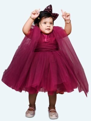 Modish Girls Net Flared Sleeves Fit & Flare Dress