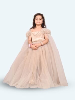 Modish Net Girls Fit & Flare Maxi Dress