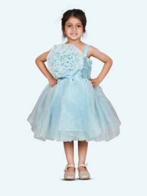 Modish Women One Shoulder Fit & Flare Tulle Dress