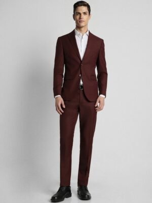 Peter England Elite Slim Fit Single-Breasted Formal Two Piece Suit