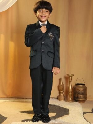 Pro-Ethic STYLE DEVELOPER Boys Regular Fit Embroidery Design Single-Breasted Suits