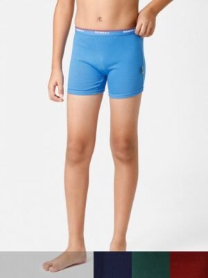 Ramraj Boys Pack Of 10 Assorted Pure Cotton Trunks
