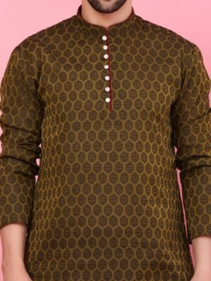 sydney-heights-ethnic-motifs-woven-design-jacquard-weave-straight-kurta-with-1.jpg