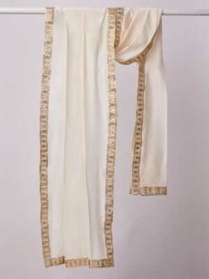 vastramay-men-sequined-border-dupatta-1.jpg